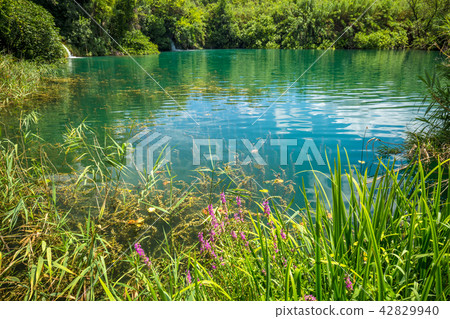 Beautiful lake with clean water. Beautiful lake with clean water. 42829940