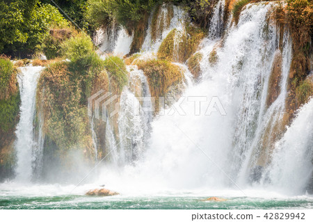 Showering seagull at the waterfall Skradinski Buk. 42829942