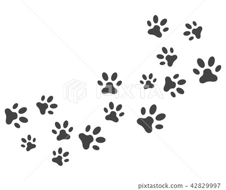 Paw icon vector illustration design Paw icon vector illustration design 42829997