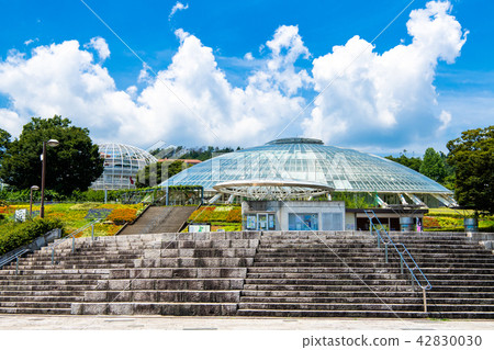 Fuefukigawa Fruit Park, Yamanashi Prefecture 42830030