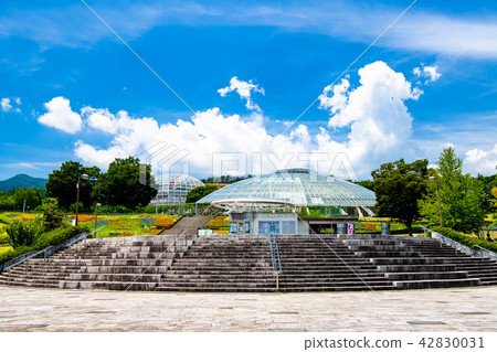 Fuefukigawa Fruit Park, Yamanashi Prefecture 42830031