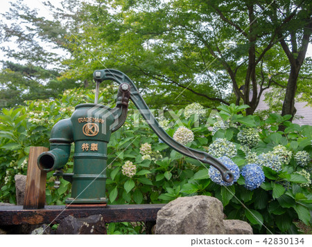 [Izu] Water pumps for recreation areas [Shuzenji Niji no Sato] 42830134