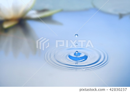 Water droplets Water droplets 42830237
