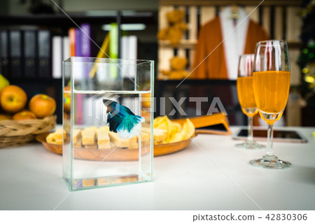 betta fish decor on table betta fish decor on table 42830306