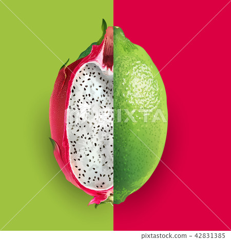Dragon fruit and lime illustration 42831385