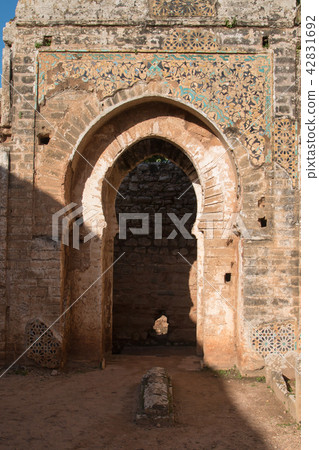 Gate with decoration, Chellah, Rabat, Morocco 42831692