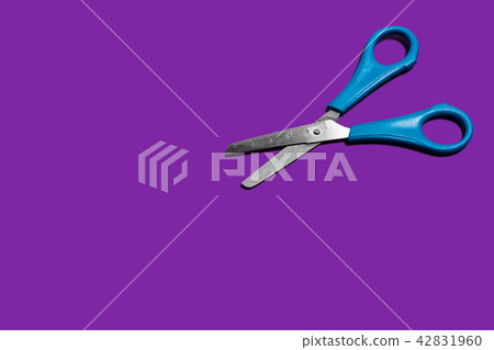 scissors on a purple background 42831960