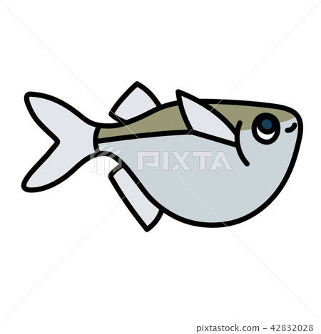 柴刀魚 42832028