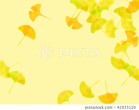 銀杏樹背景 銀杏樹背景 42833120