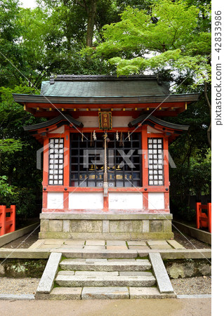 八坂神社久良(京都) 八坂神社久良(京都) 42833986
