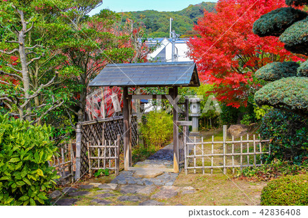 Garden entrance of Ikeda Castle Colored autumn leaves Garden entrance of Ikeda Castle Colored autumn leaves 42836408