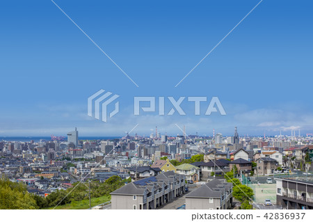 大分市地區 42836937