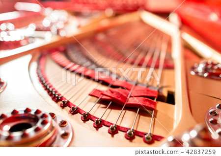 Strings inside a red grand piano. Piano playing, dampers, felt hammers, bronze strings and metal 42837259