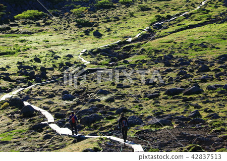 北阿爾卑斯山Unzenaira日本高山植物和岩石走在最後的秘密區 42837513