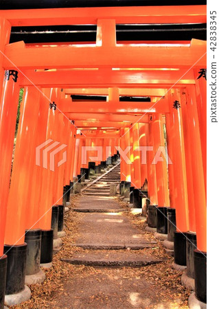 京都伏見稻荷大社神社Torii Torii 42838345