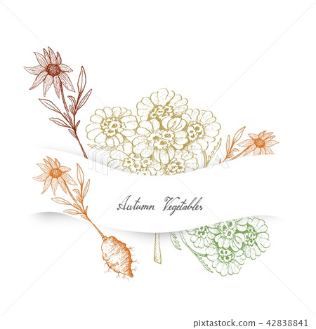 Jerusalem Artichoke, Yarrow and Yao Choy Jerusalem Artichoke, Yarrow and Yao Choy 42838841