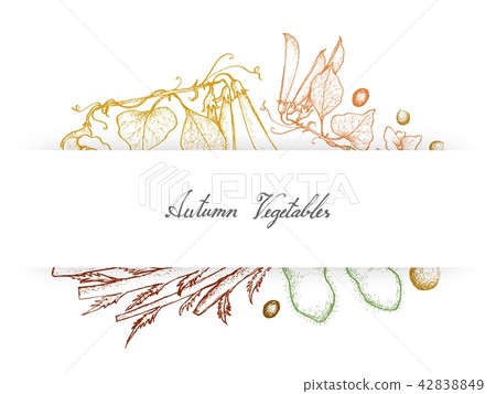 Vegetables of Green Peas, Soybeans and Celeriac 42838849