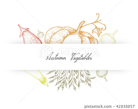 Pumpkins, Celeriac, Aubergine and Brinjal 42838857