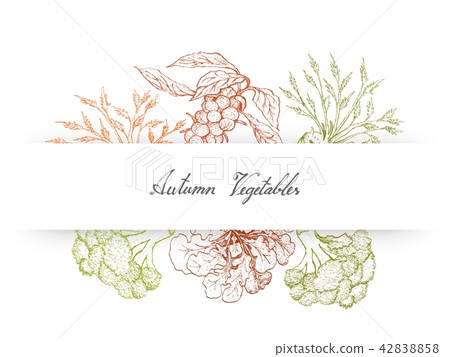 Brussels, Sprouts Broccoli and Celeriac Brussels, Sprouts Broccoli and Celeriac 42838858