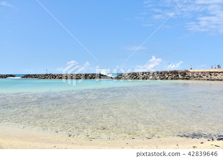 Holidays in Hawaii 42839646