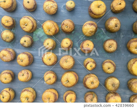 各式各樣的太陽米糕 42839660