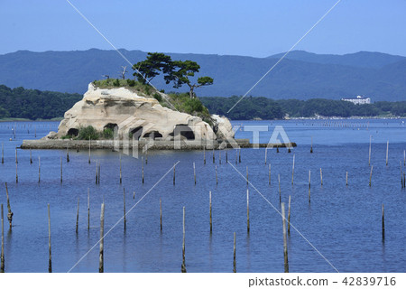 An island floating in Matsukawaura 42839716
