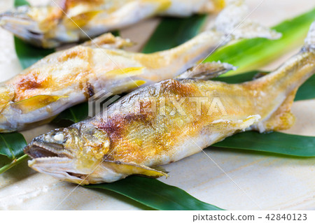 Salt-grilled salmon 42840123