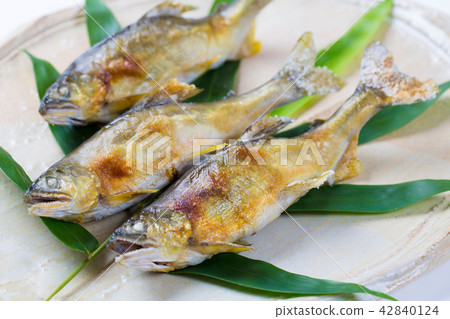 Salt-grilled salmon 42840124