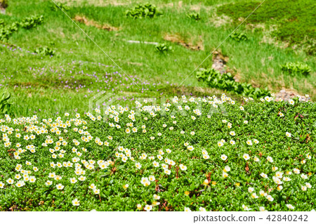 Tingleung在腳下 Tingleung在腳下 42840242