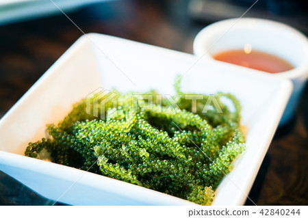    海洋葡萄 42840244