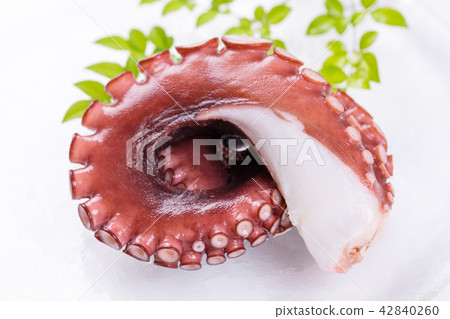 八爪魚生魚片 八爪魚生魚片 42840260