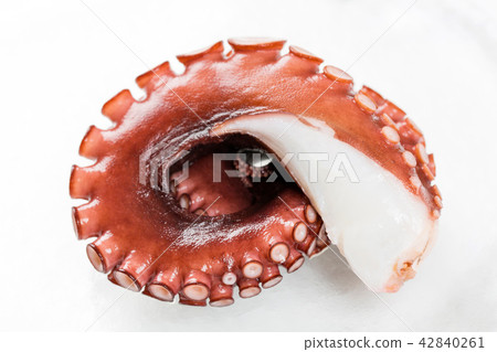 八爪魚生魚片 42840261
