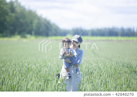 Parent and child of the field 42840270