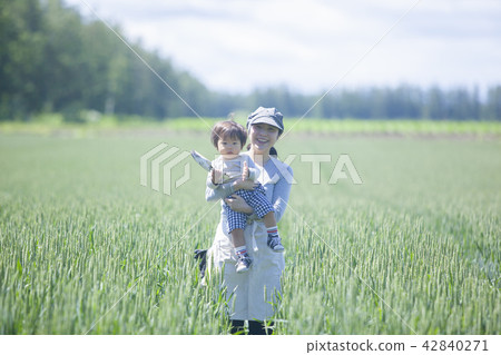 Parent and child of the field 42840271