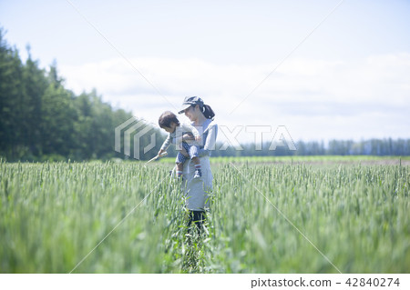 該領域的父母和孩子 該領域的父母和孩子 42840274