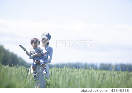 Parent and child of the field 42840288