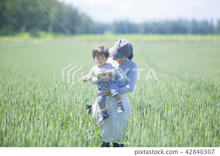 該領域的父母和孩子 該領域的父母和孩子 42840307