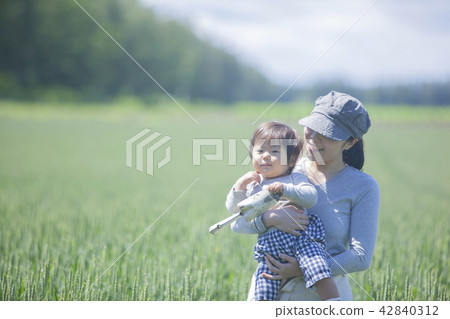 Parent and child of the field 42840312
