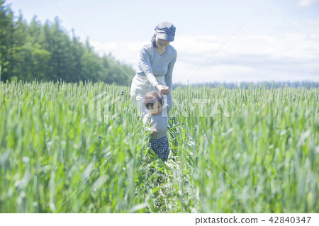 Parent and child of the field 42840347