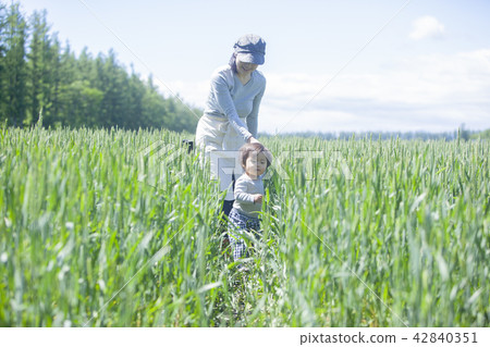 Parent and child of the field 42840351