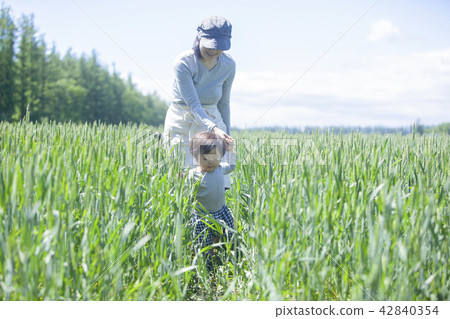 Parent and child of the field 42840354