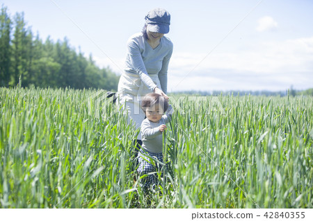 Parent and child of the field Parent and child of the field 42840355