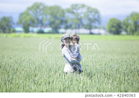 Parent and child of the field 42840363