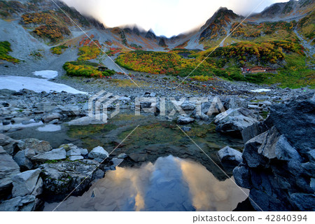 Lively foliage Lively foliage 42840394