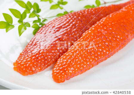 肌肉的孩子 42840538