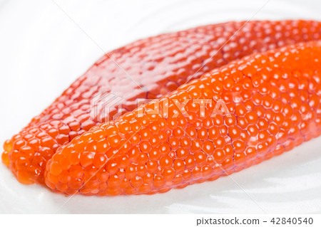 Muscle child 42840540