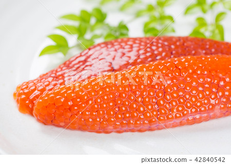 Muscle child 42840542