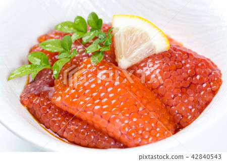 肌肉的孩子 肌肉的孩子 42840543