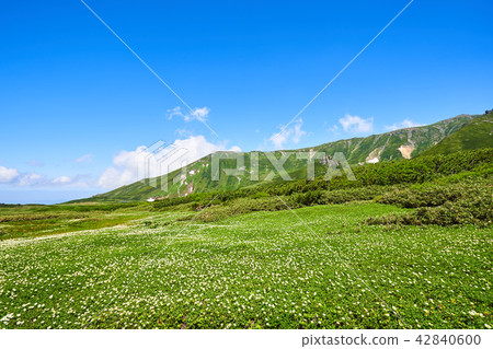 Tingleung at the foot 42840600