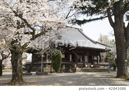 上野上野 42841086